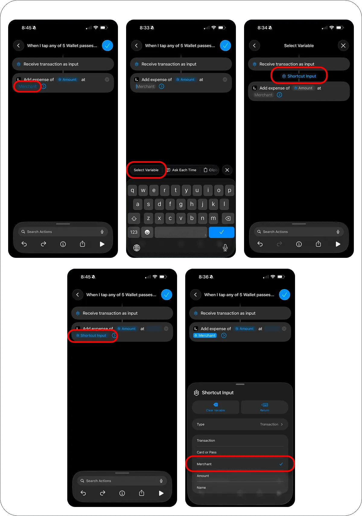 Setting the merchant field of the Lode action to the Apple Pay merchant